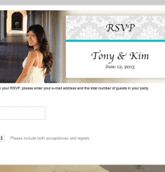 Online wedding rsvp form and wedding website