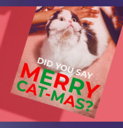 Get laughs from these funny holiday party invitations
