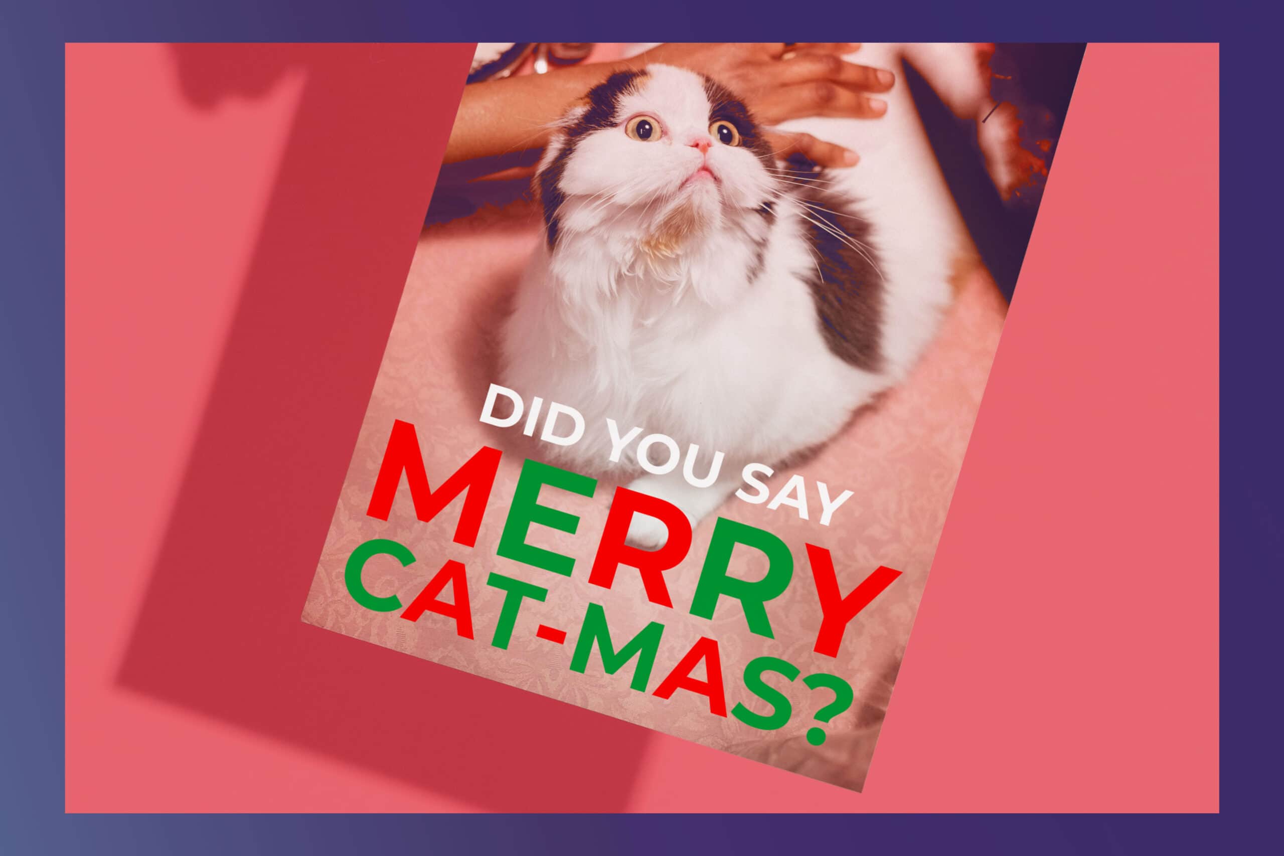 Get laughs from these funny holiday party invitations